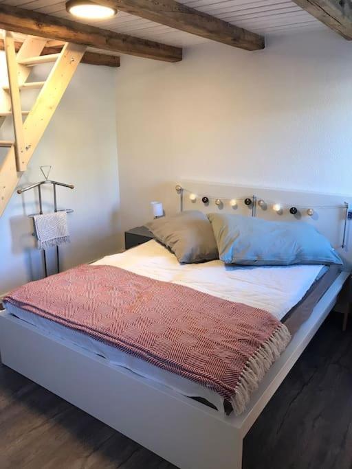 La Maisonnette : Charmante Maison Independante Salgesch Exteriör bild